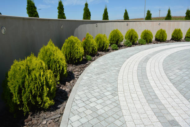 Best Driveway Paving Company  in Hustisford, WI